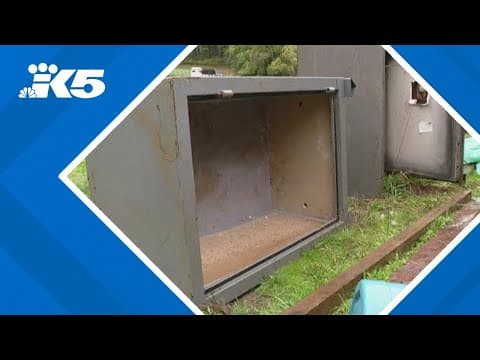 Mason Co. gun theft victim thankful for detectives for recovering property, still missing 8 weapons