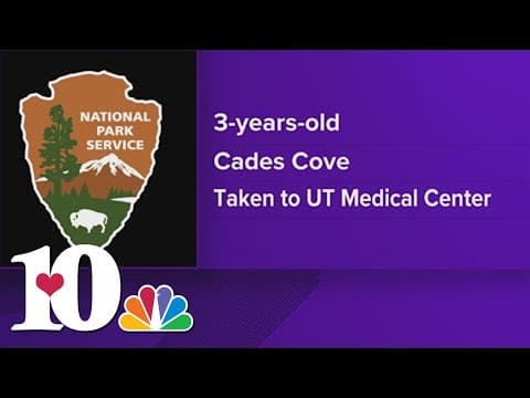 Toddler airlifted to hospital after falling off bridge in Great Smoky Mountains