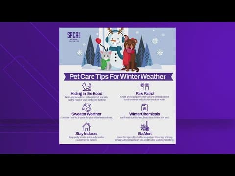 How to keep pets safe during winter weather
