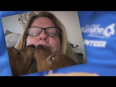 All-star volunteer dog walker is a animal shelter's best friend