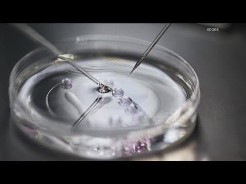 New bill pushes IVF access for military families