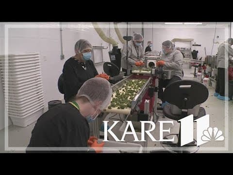 MN Senate debates cannabis changes