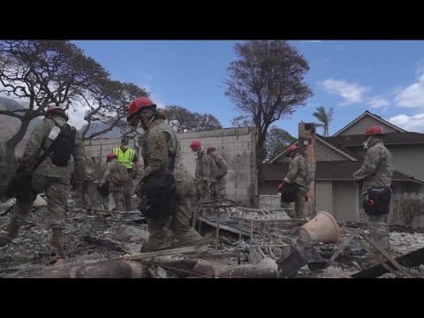 San Diego Humane Society team deploys to Maui to help in aftermath of wildfires