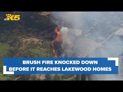 Brush fire in Fort Steilacoom Park threatened homes before getting knocked down by firefighters