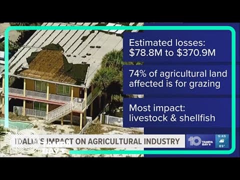 Idalia's impact on the agricultural industry