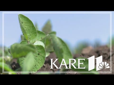 The planting outlook in Minnesota