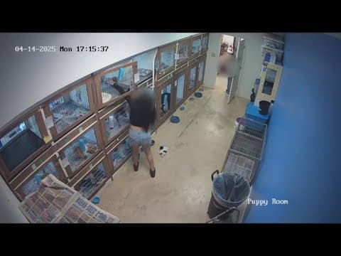 SE Houston pet store says thieves stole 3 puppies, over $10K worth of product