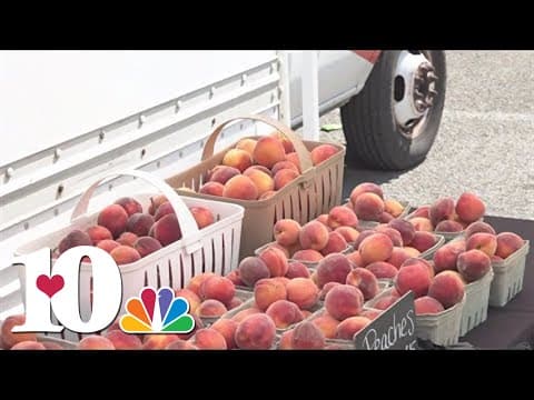Plums, peaches, berries and more! || How you can shop for fresh-grown produce