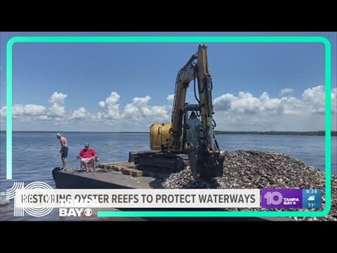 22 tons of oysters released into Turtle Bay in Charlotte Harbor