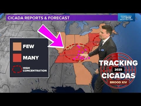 Brood 14 Cicadas Are Emerging South | When may they arrive in Indiana?